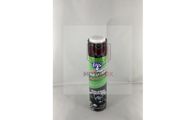 Καθαριστικός αφρός με βουρτσάκι Franck Multi-purpose Foam Cleaner